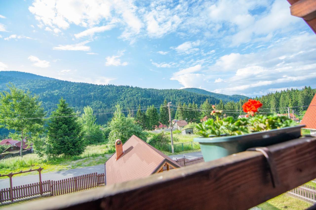 Silver Villa BaileTusnad Exterior foto