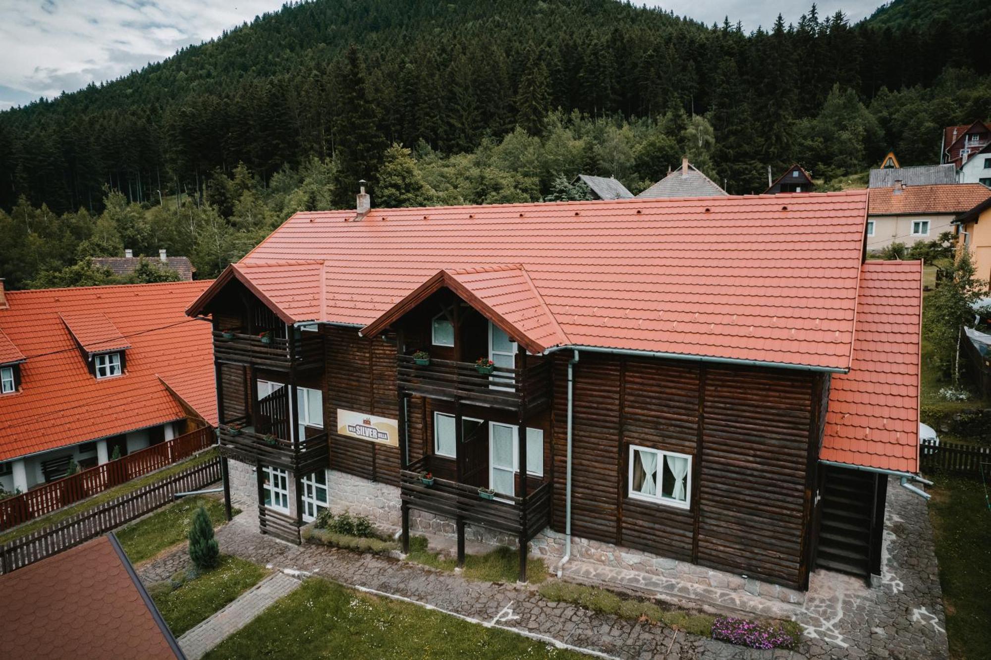Silver Villa BaileTusnad Exterior foto